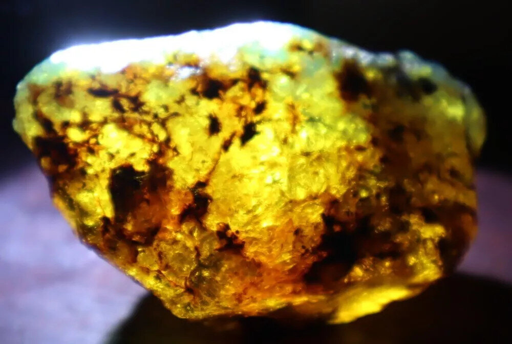 Charming Design Natural Dominican Clear Green Blue Amber Rough Specimen 60mm 28g – photo 3