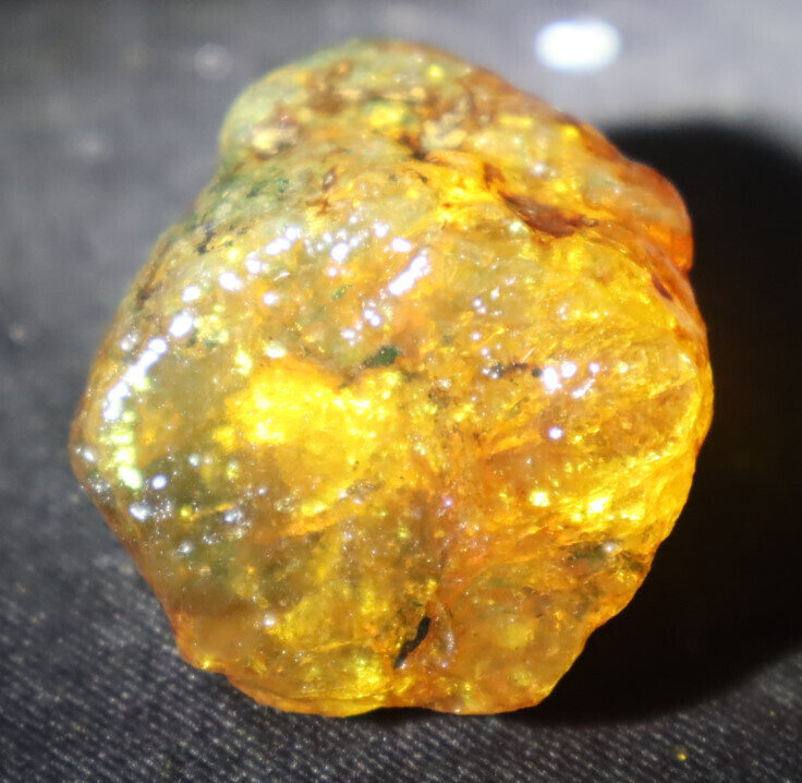 Exquisite Natural Dominican Clear Light Yellow Amber Rough Specimen 35mm 16g – photo 3