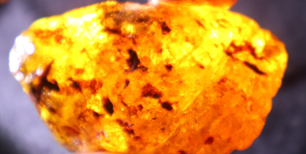 Exquisite Natural Dominican Clear Light Yellow Amber Rough Specimen 35mm 16g – photo 10