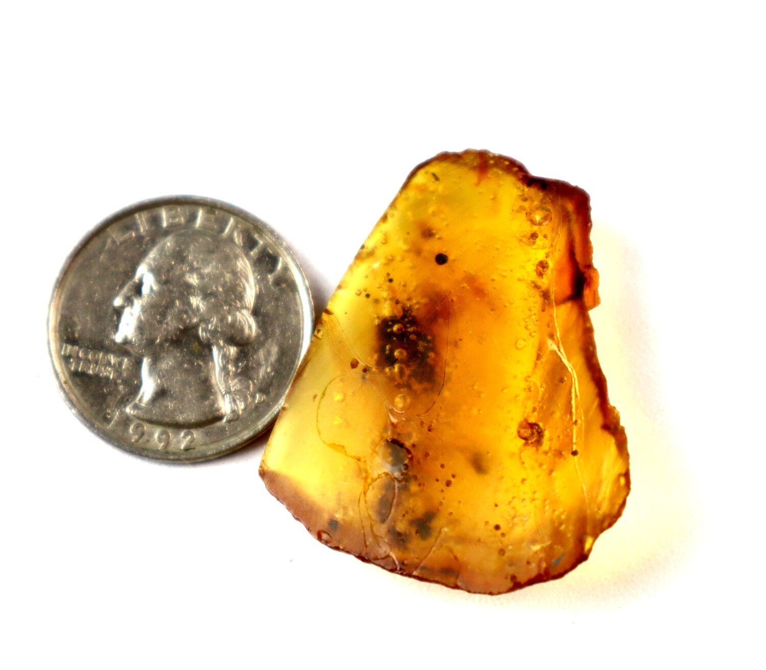 Elegant Dominican Fine Wasp Inclusion In Amber Fossils/Insects 39mm – photo 3