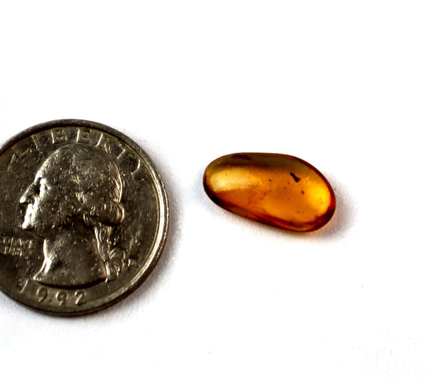 Handcrafted Natural Wasp Inclusion In Amber Fossils/Insects 17mm – photo 3