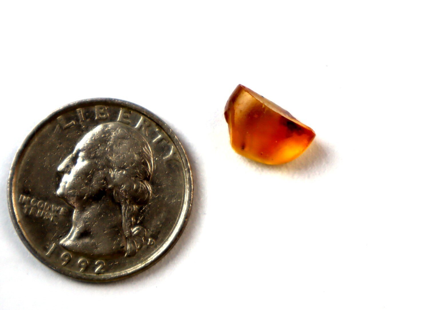 Artisan Polished Ant Inclusion Amber Fossils/Insects 17mm – photo 3