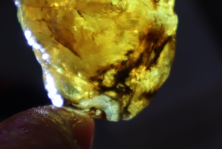 Interested Yellow Blue Dominican Amber Rough Specimen Chunk 37mm 10.6g – photo 12