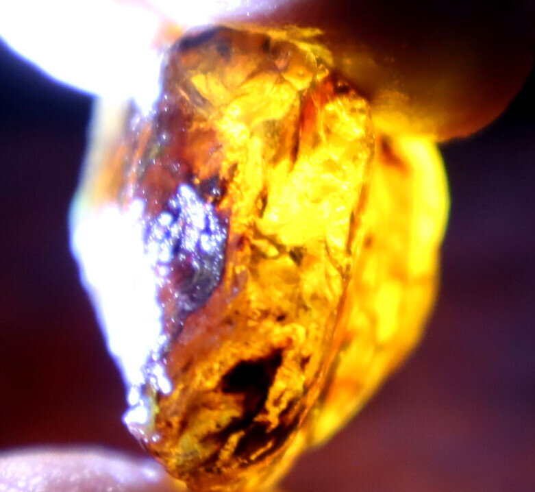 Excellent Natural Dominican Crystal Clear Volcanic Blue Amber Rough Specimen 10g – photo 14