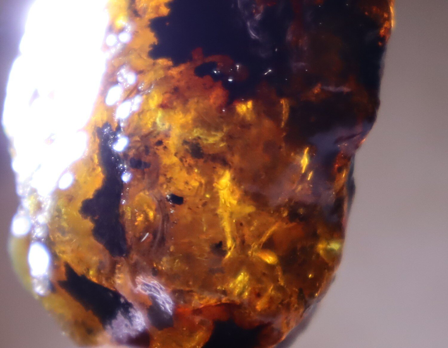 Beautiful Natural Dominican Clear Green Blue Amber Rough Specimen 63mm 31.2g – photo 8