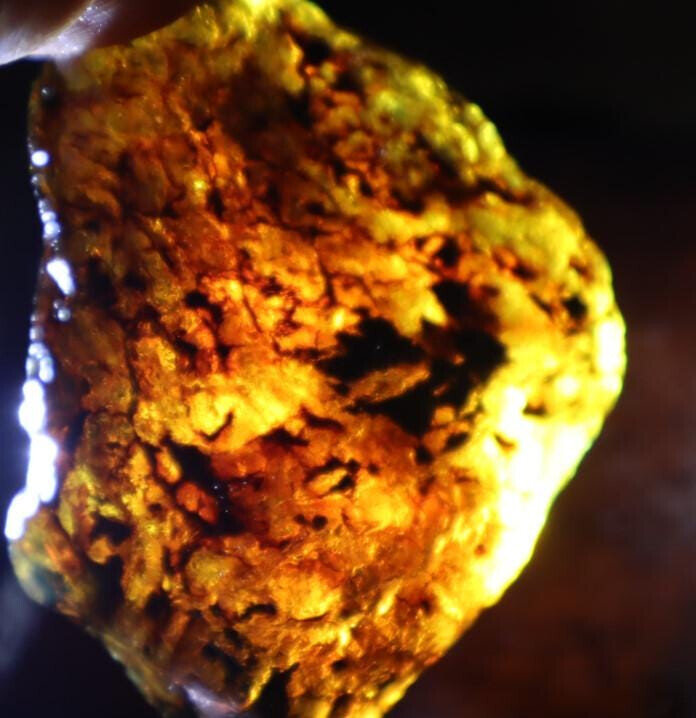 Exquisite Natural Dominican Clear Sky Blue Amber Rough Specimen 52mm 24.5g – photo 8
