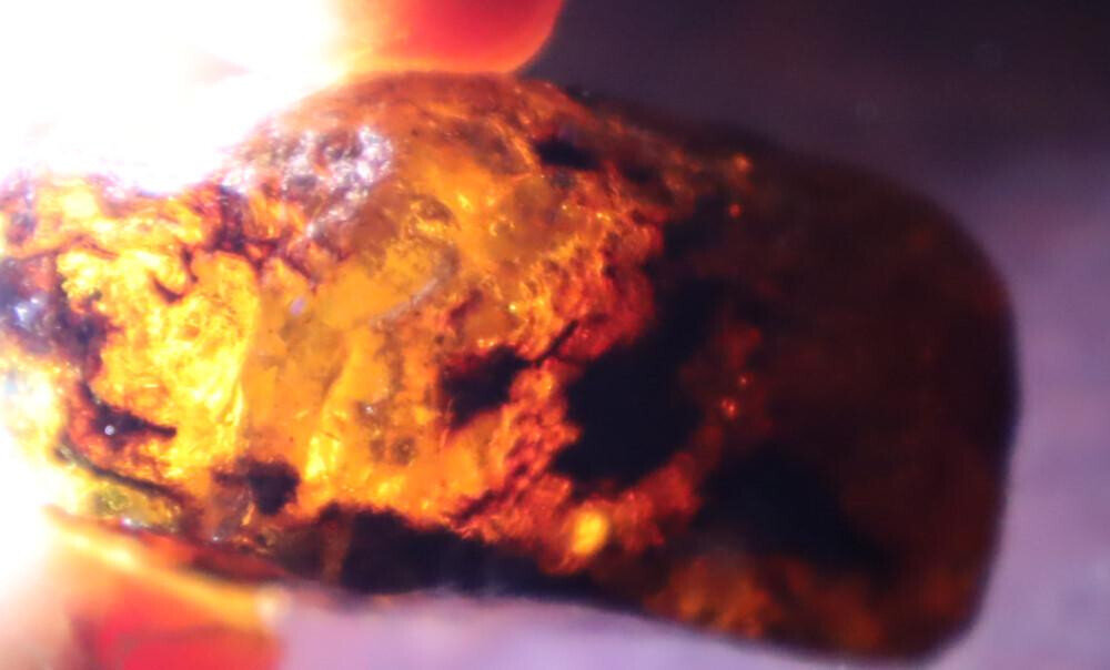 Exquisite Natural Dominican Clear Sky Blue Amber Rough Specimen 48mm 21.5g – photo 7