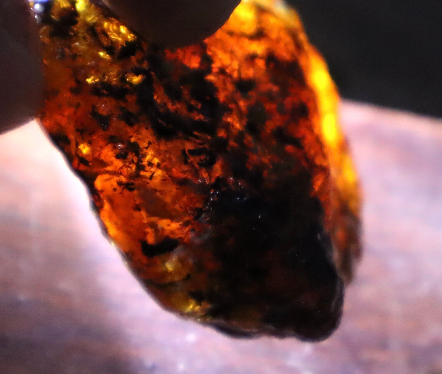 Beautiful Natural Dominican Translucent Ocean Blue Amber Rough Specimen 47mm 19g – photo 8