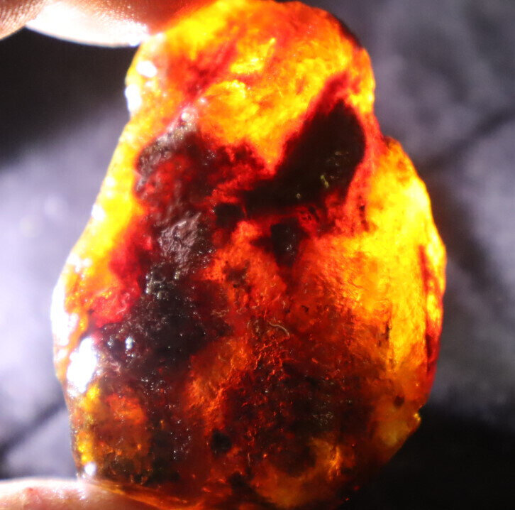 Beautiful Natural Dominican Clear Sky Blue Amber Rough Specimen 52mm 24g – photo 8