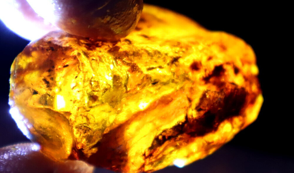 Exquisite Natural Dominican Clear Deep Blue Amber Rough Specimen 45mm 12.7g – photo 13