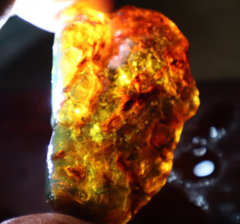 Finest Natural Dominican Clear Green Blue Amber Rough Specimen 58mm 25g – photo 6