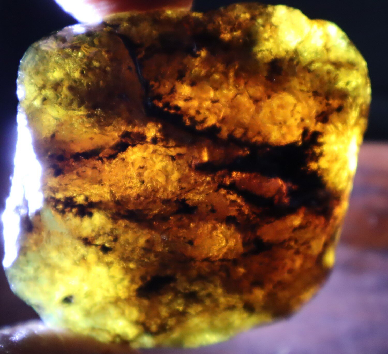 Impressive Natural Dominican Clear Green Blue Amber Rough Specimen 53mm 27.6g – photo 6