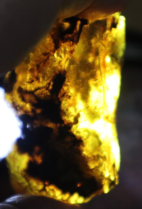 Finest Natural Dominican Crystal Clear Light Blue Amber Rough Specimen 68mm 41g – photo 14