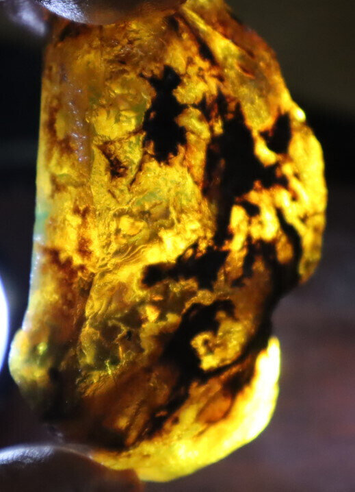 Finest Natural Dominican Crystal Clear Light Blue Amber Rough Specimen 68mm 41g – photo 16