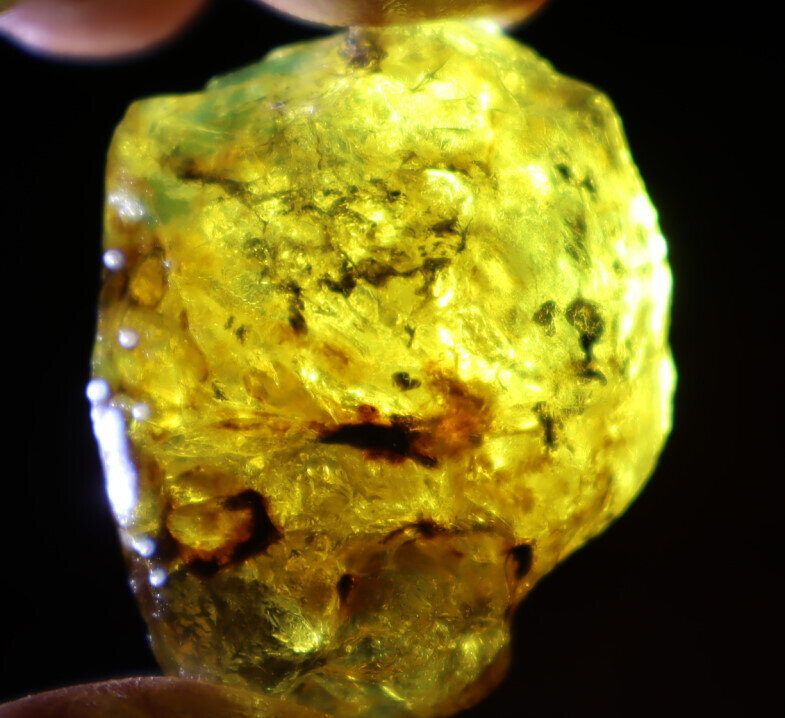 Beautiful Natural Dominican Clear Light Blue Yellow Amber Rough Specimen 43mm 14g – photo 9