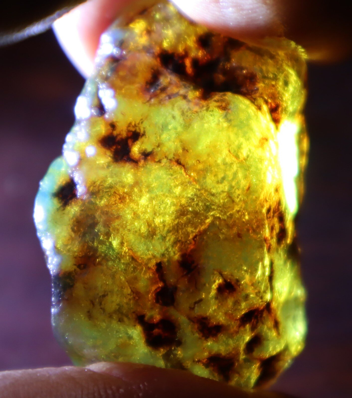 Charming Design Natural Dominican Clear Green Blue Amber Rough Specimen 43mm 11g – photo 6