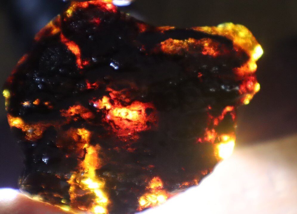 Impressive Natural Dominican Clear Volcanic Blue Amber Rough Specimen 51mm 17.2g – photo 15