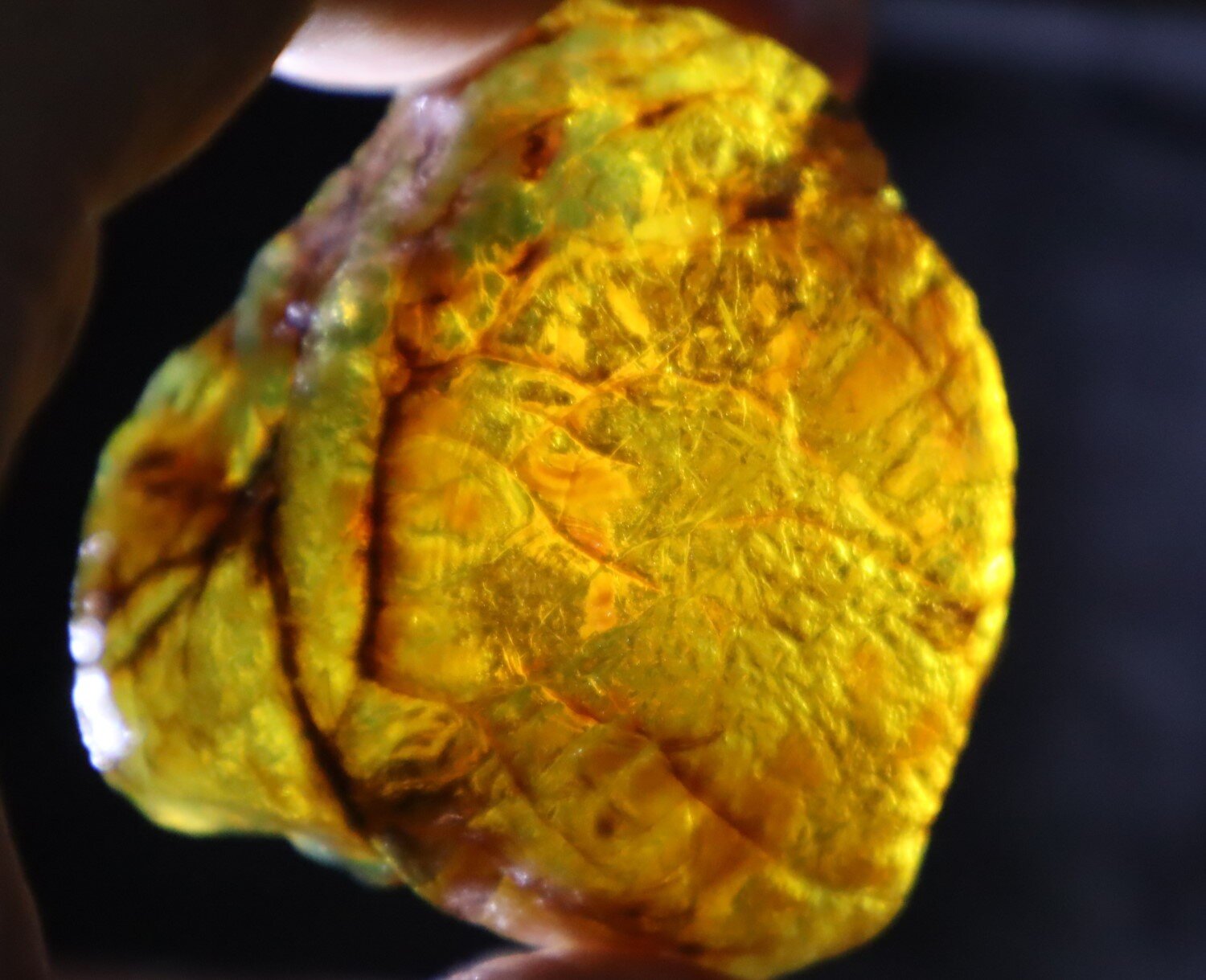 Impressive Natural Dominican Clear Green Blue Amber Rough Specimen 50mm 32.1g – photo 10