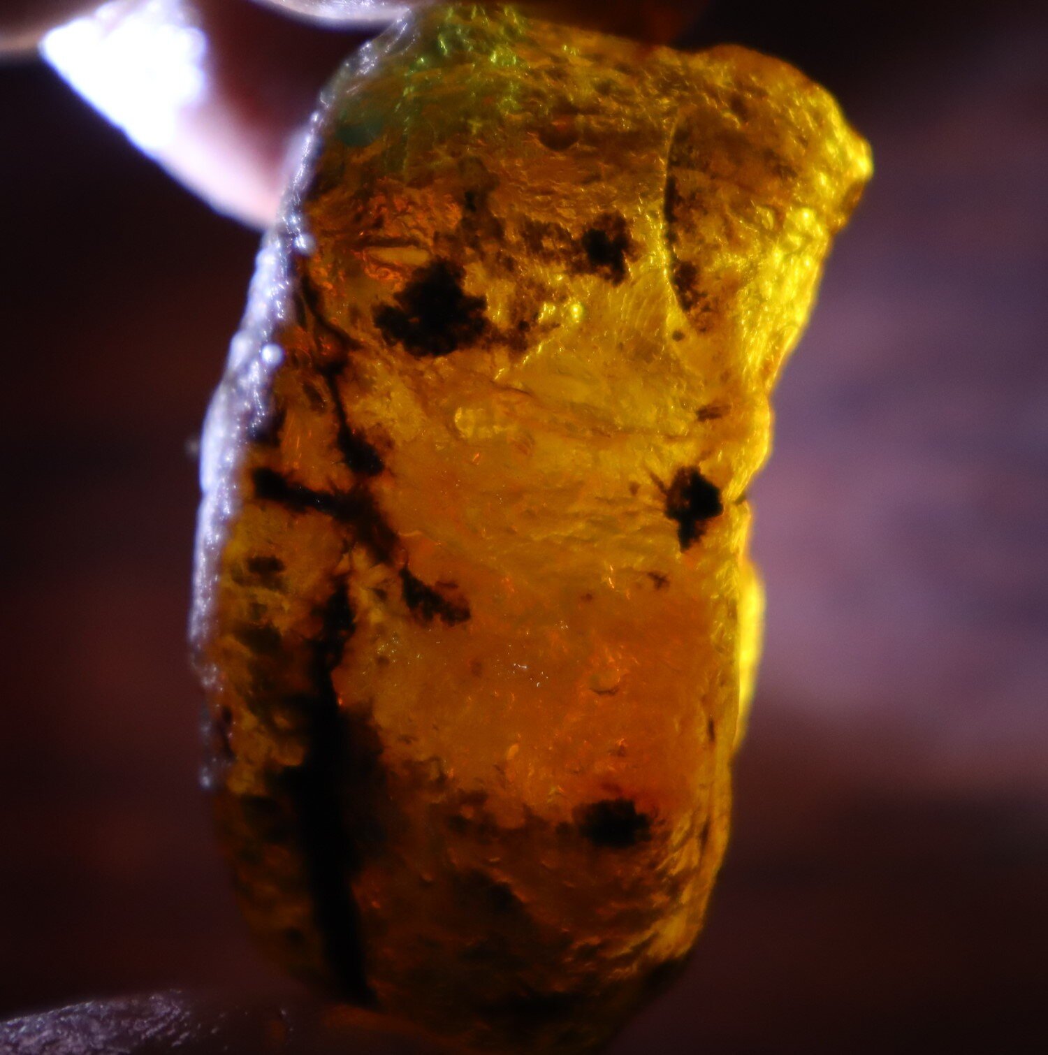Impressive Natural Dominican Clear Sky Blue Amber Rough Specimen 49mm 26.9g – photo 10