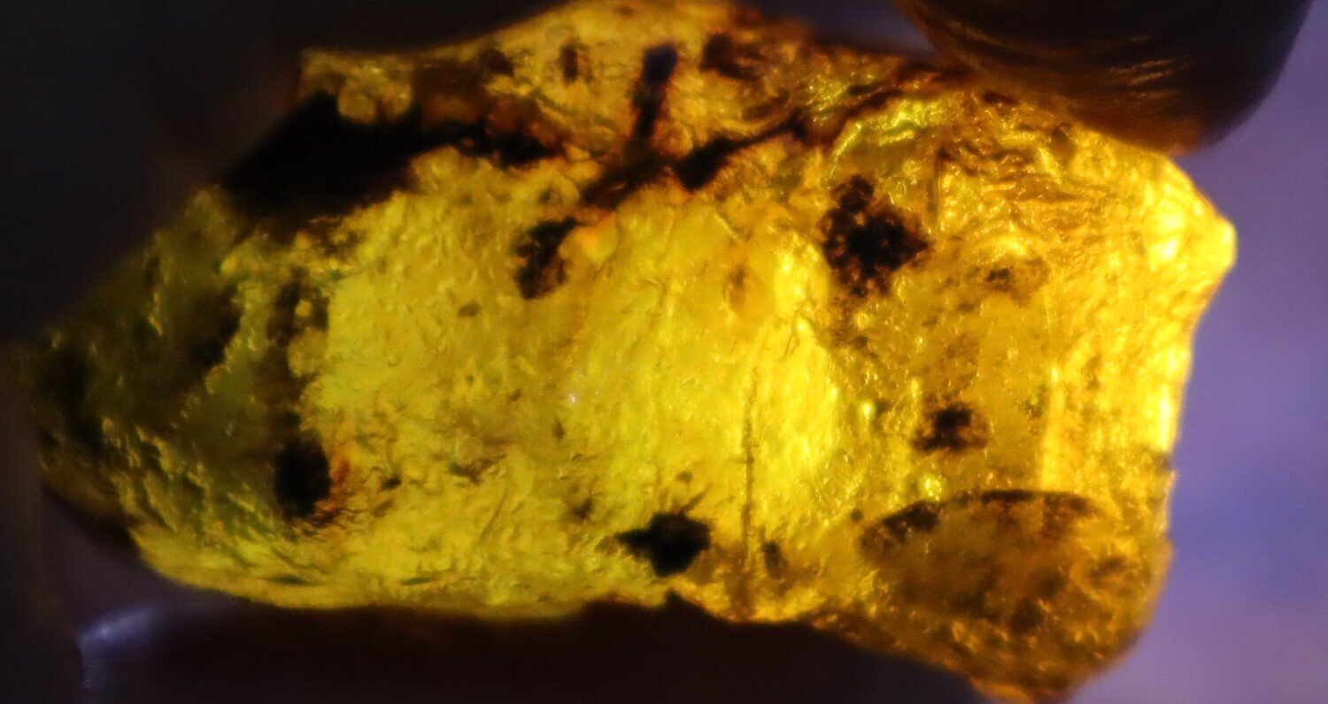 Impressive Natural Dominican Clear Sky Blue Amber Rough Specimen 49mm 26.9g – photo 14