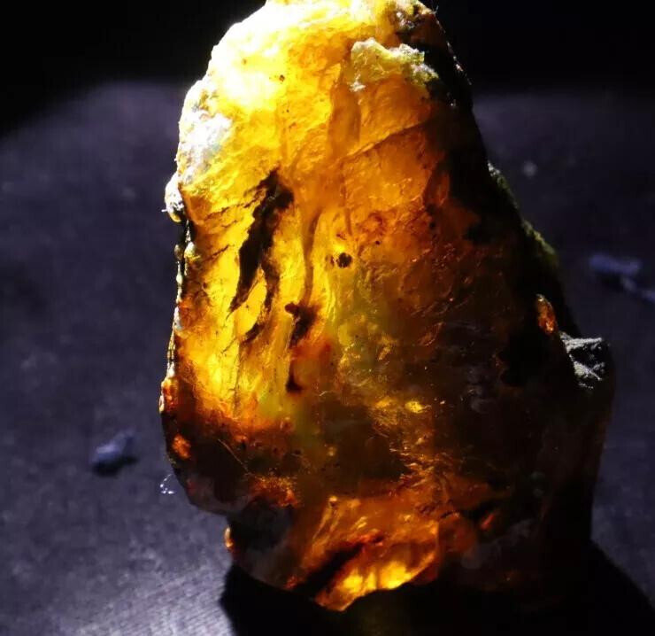 Exquisite Natural Dominican Clear Sky Blue Amber Rough Specimen 60mm 31g – photo 8