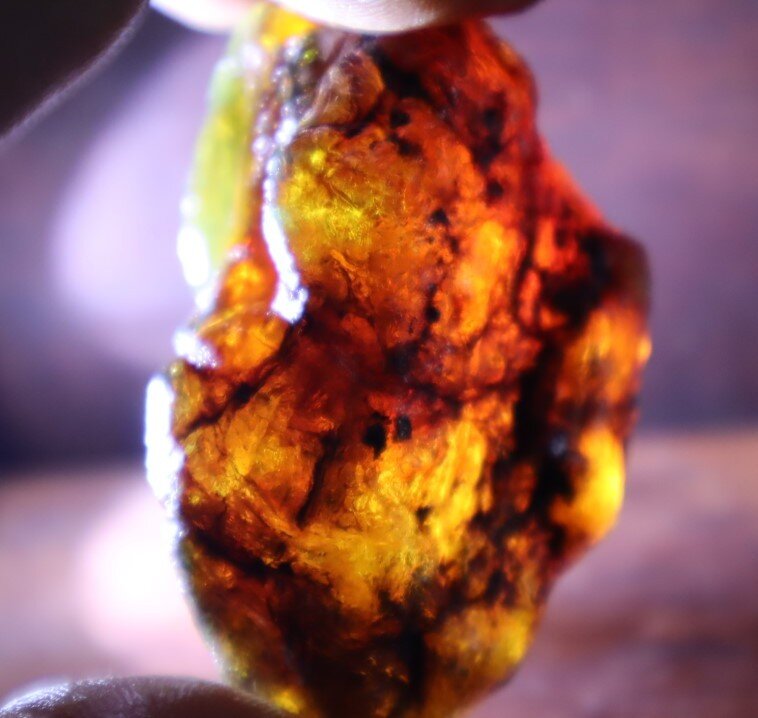 Outstanding Natural Dominican Clear Sky Blue Amber Rough Specimen 53mm 23.4g – photo 8