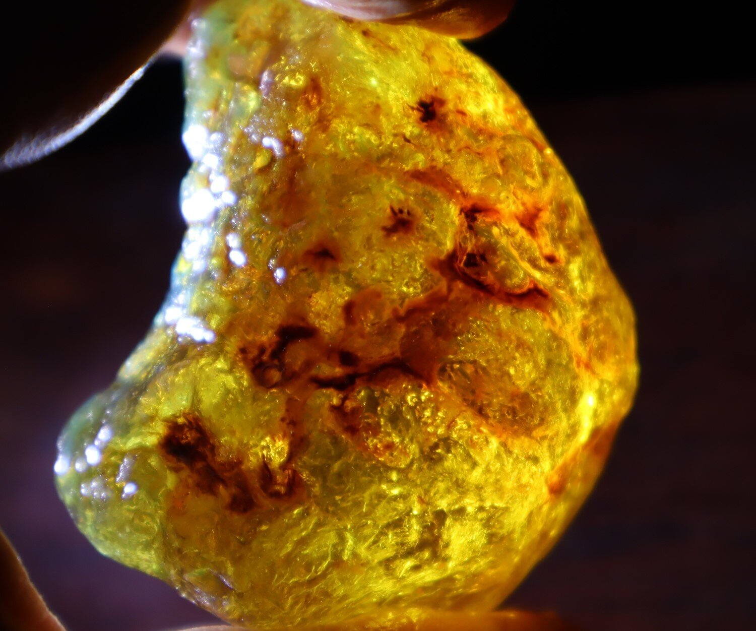 Beautiful Natural Dominican Clear Green Blue Amber Rough Specimen 51mm 47.8g – photo 6