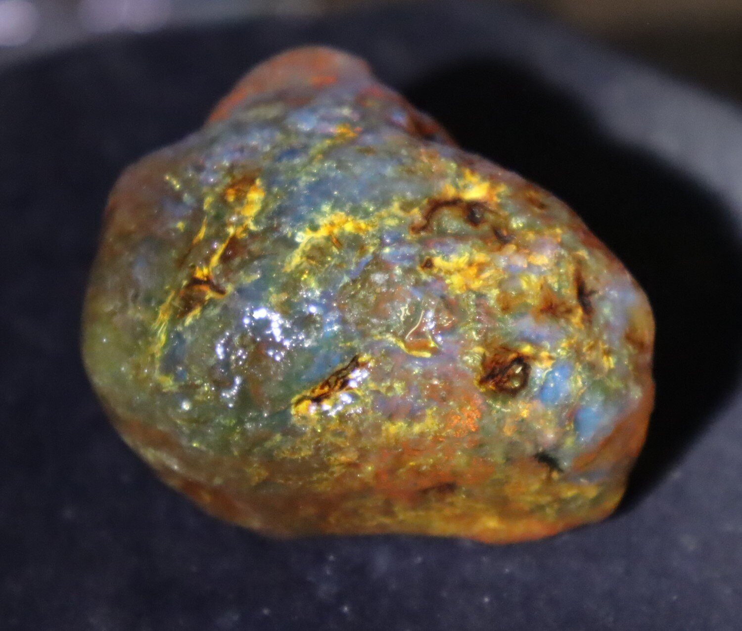 Beautiful Natural Dominican Clear Green Blue Amber Rough Specimen 51mm 47.8g – photo 10