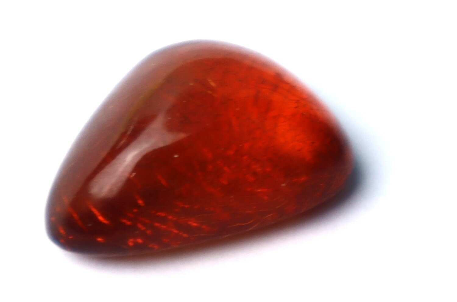 Genuine Dominican Red Amber w/ Fossil Rove Beetle (Staphylinidae) 12.5ct – photo 3