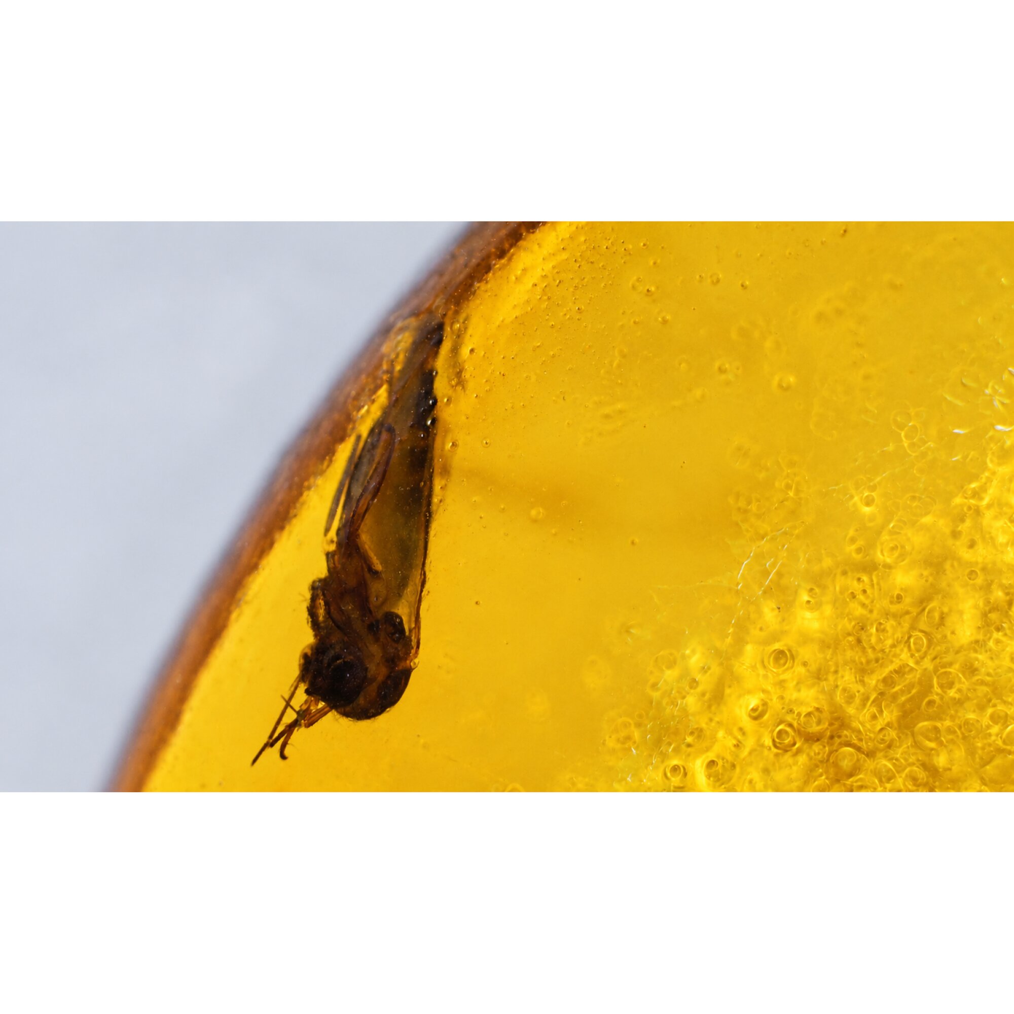Real yellow orange Dominican amber spider and wasps stone 28mm – photo 7