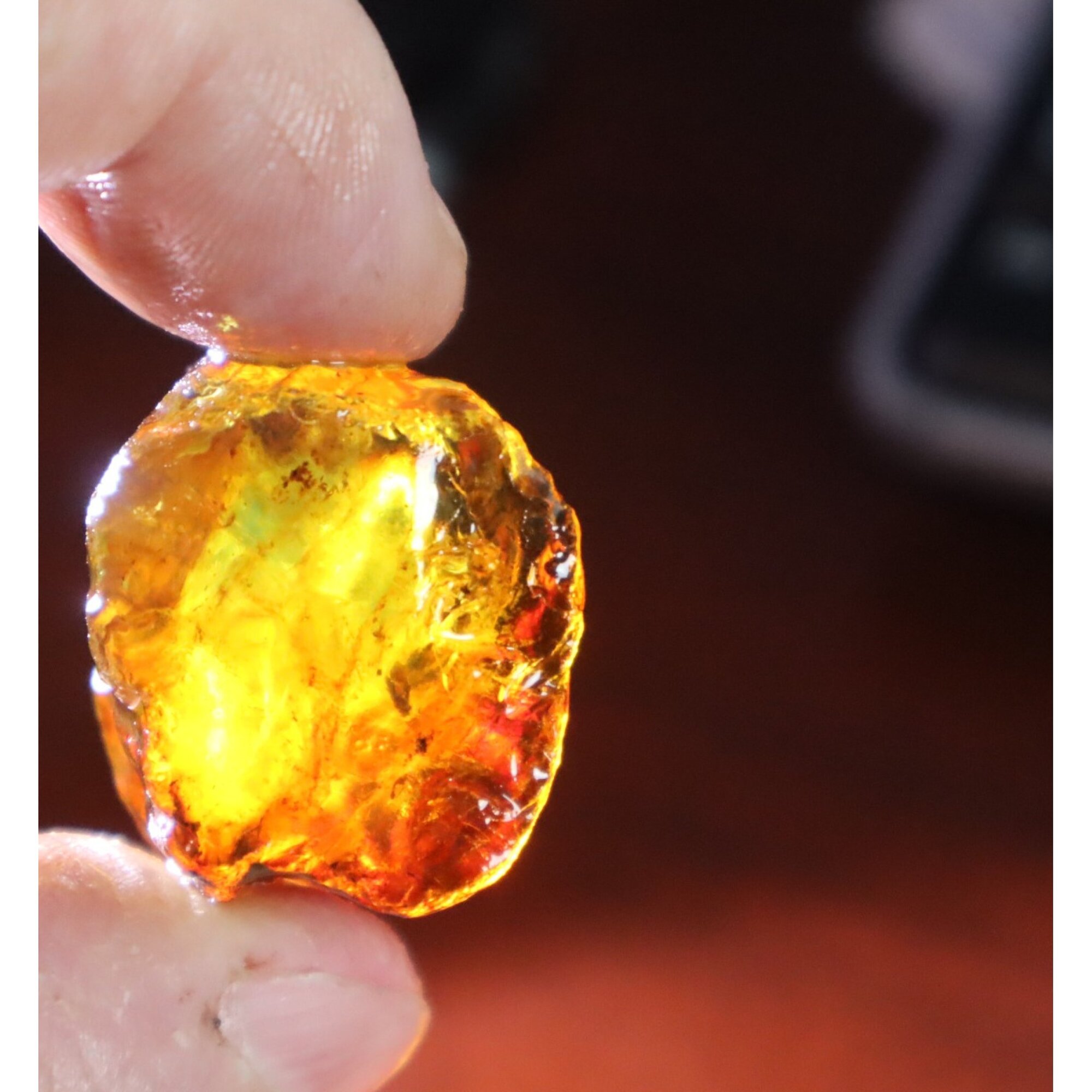 Naturally formed cognac blue rough specimen Dominican amber 31mm – photo 11