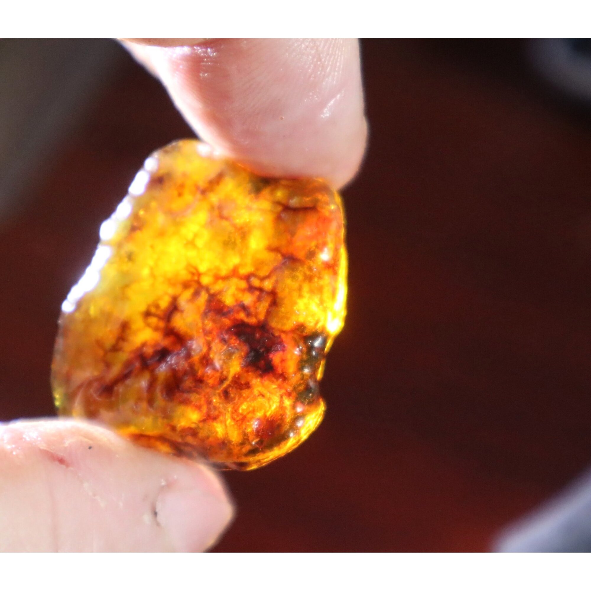 Authentic deep blue rough specimen Dominican amber 32mm – photo 7