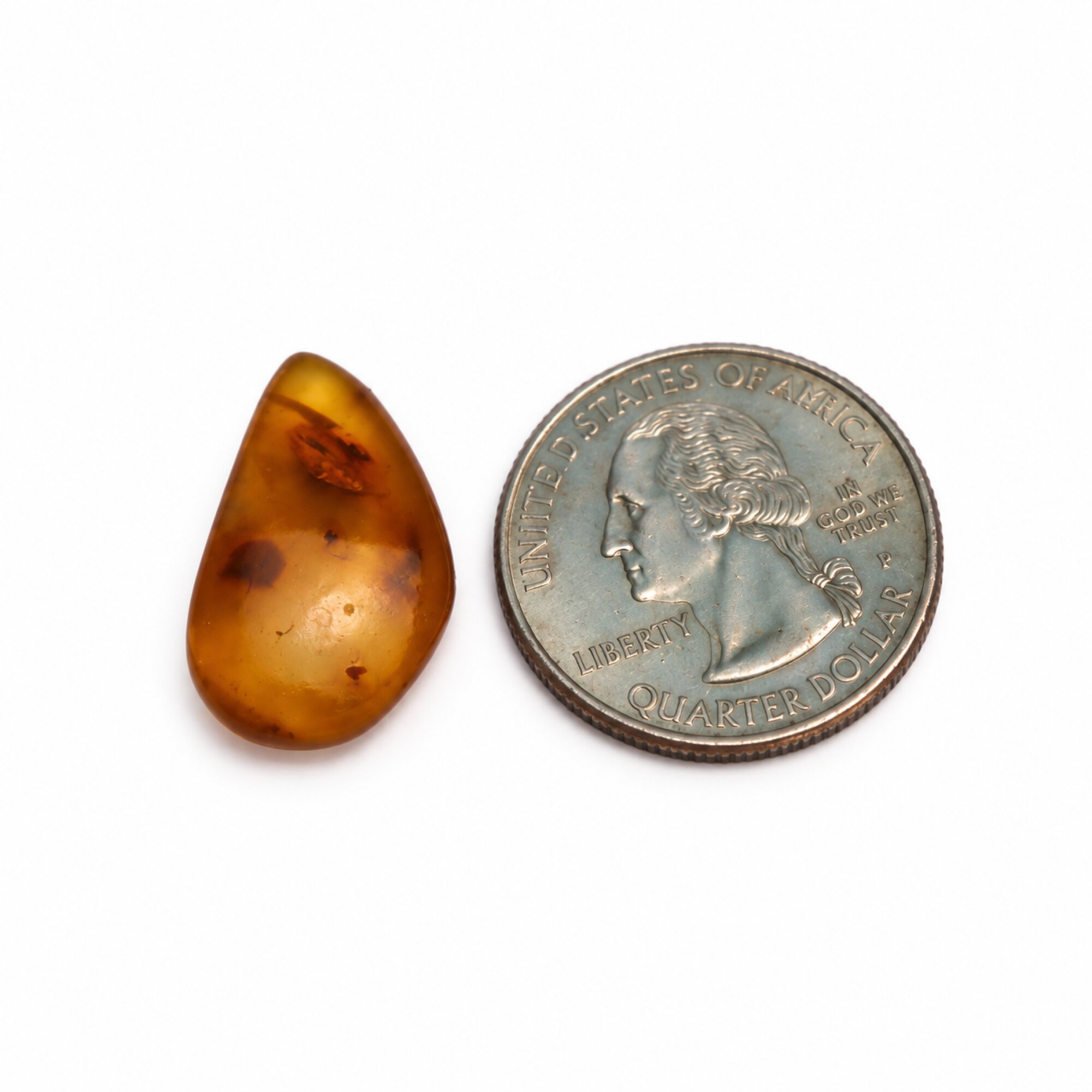Natural green yellow polished Dominican amber – photo 10