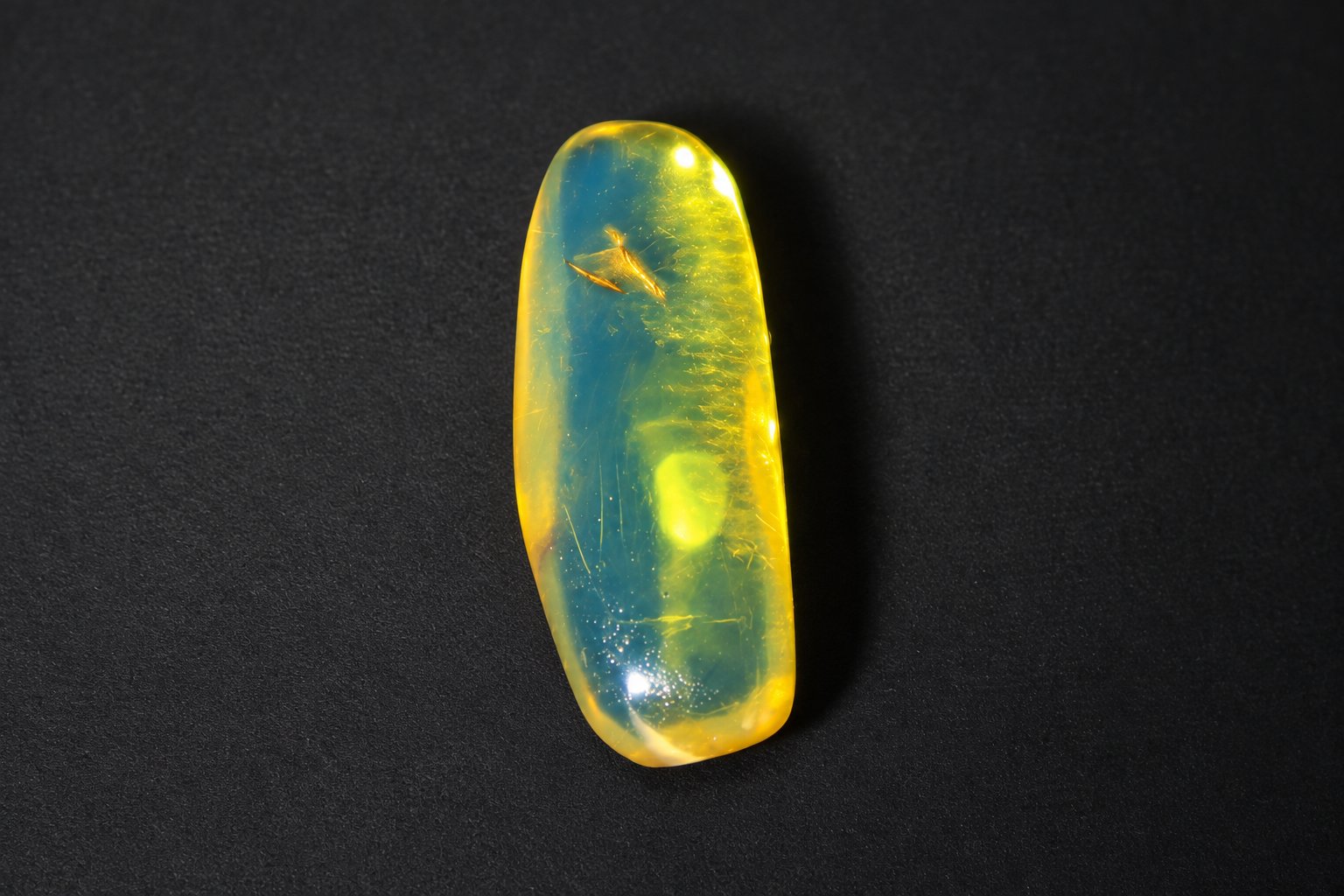 Genuine deep blue polished Dominican amber