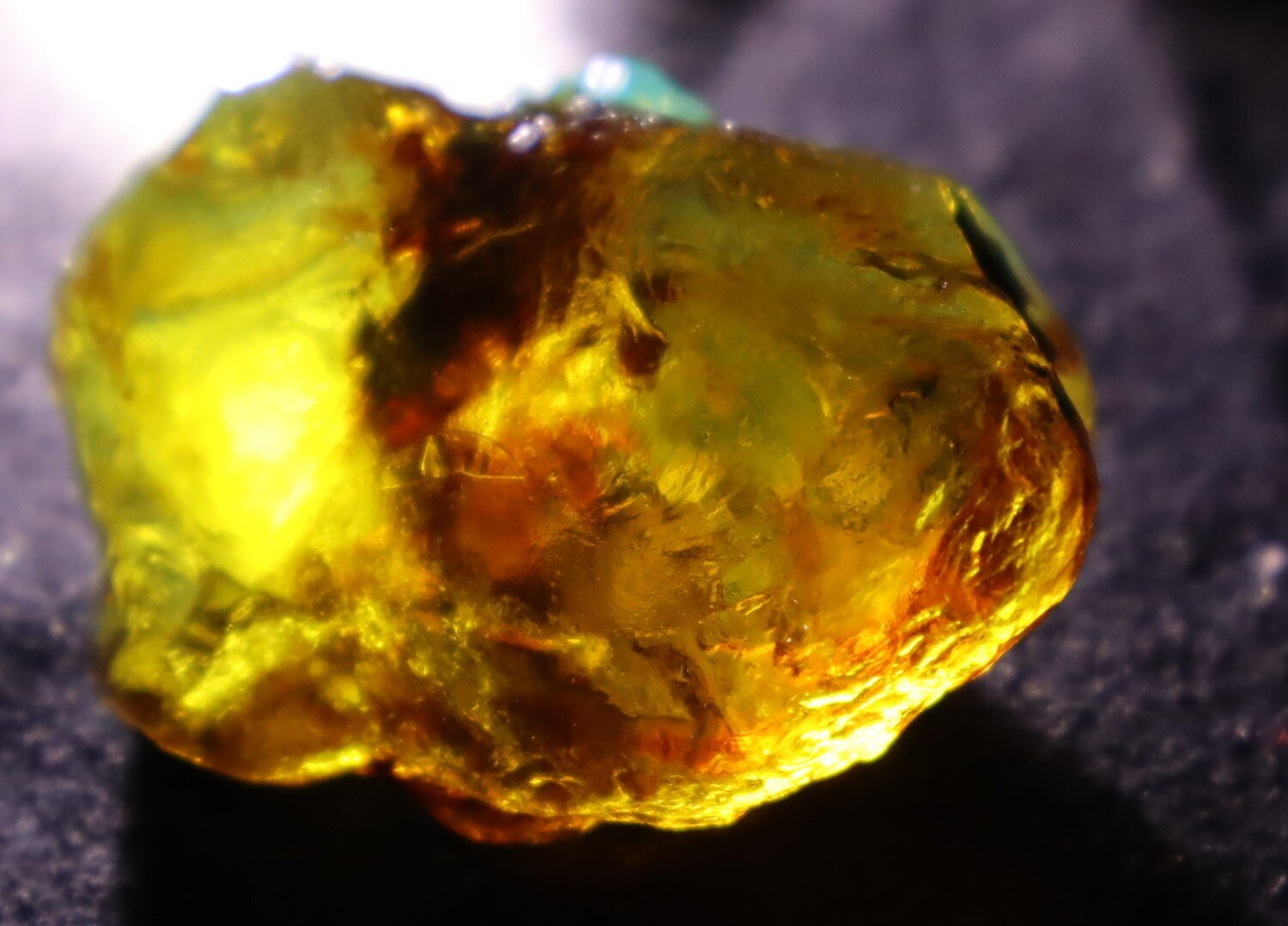 Splendid Natural Dominican Clear Orange Blue Amber Rough Specimen 47mm 18g – photo 11