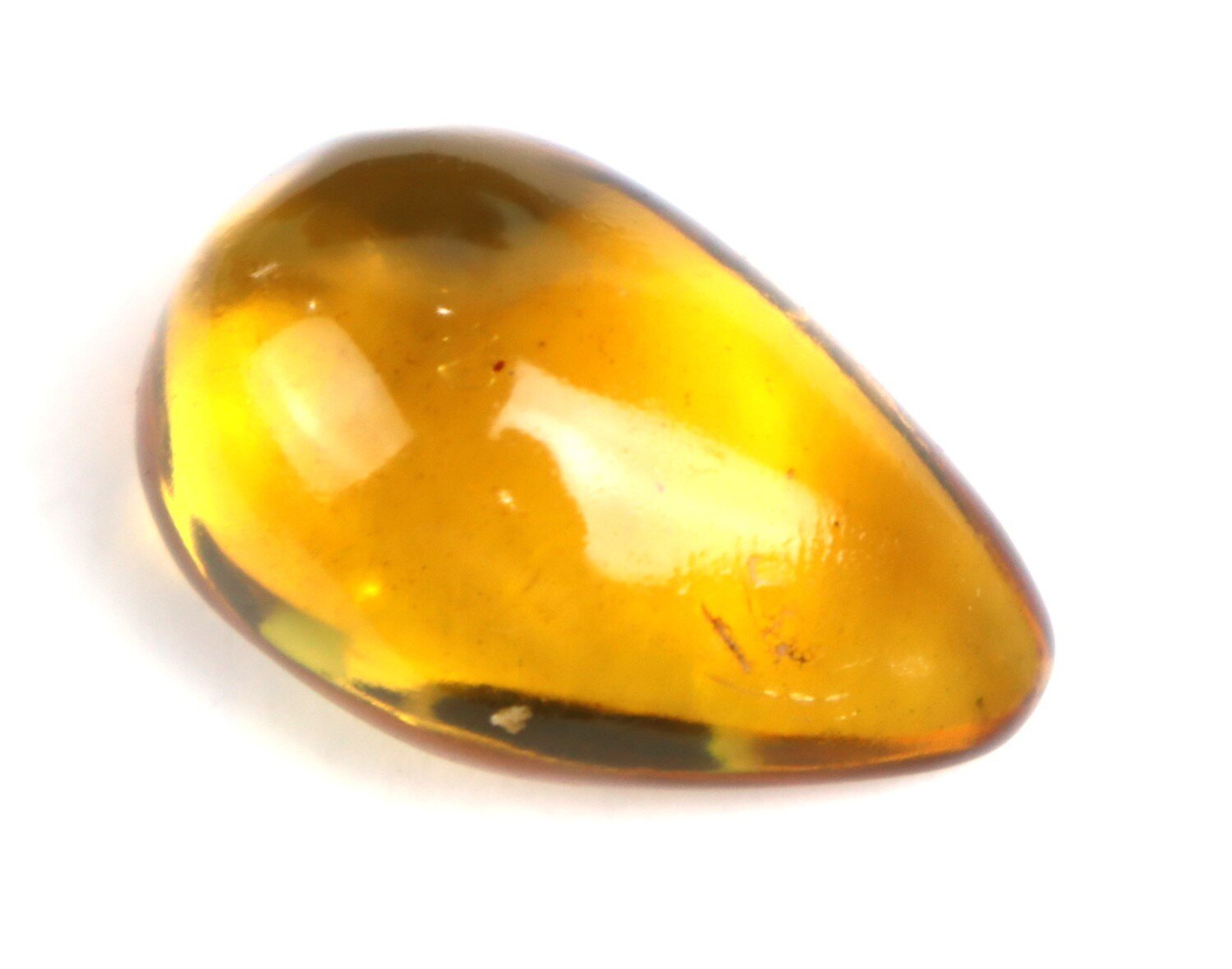 🦋 Natural Dominican Golden Amber with Preserved Organic Inclusion – 34mm 🦋 – photo 4