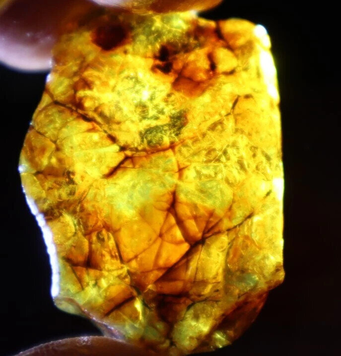 Exquisite Natural Dominican Crystal Clear Yellow Blue Amber Rough Specimen 42mm – photo 9