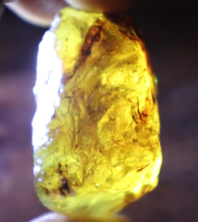 Impressive Natural Dominican Crystal Clear Yellow Blue Amber Rough Specimen 40mm – photo 3