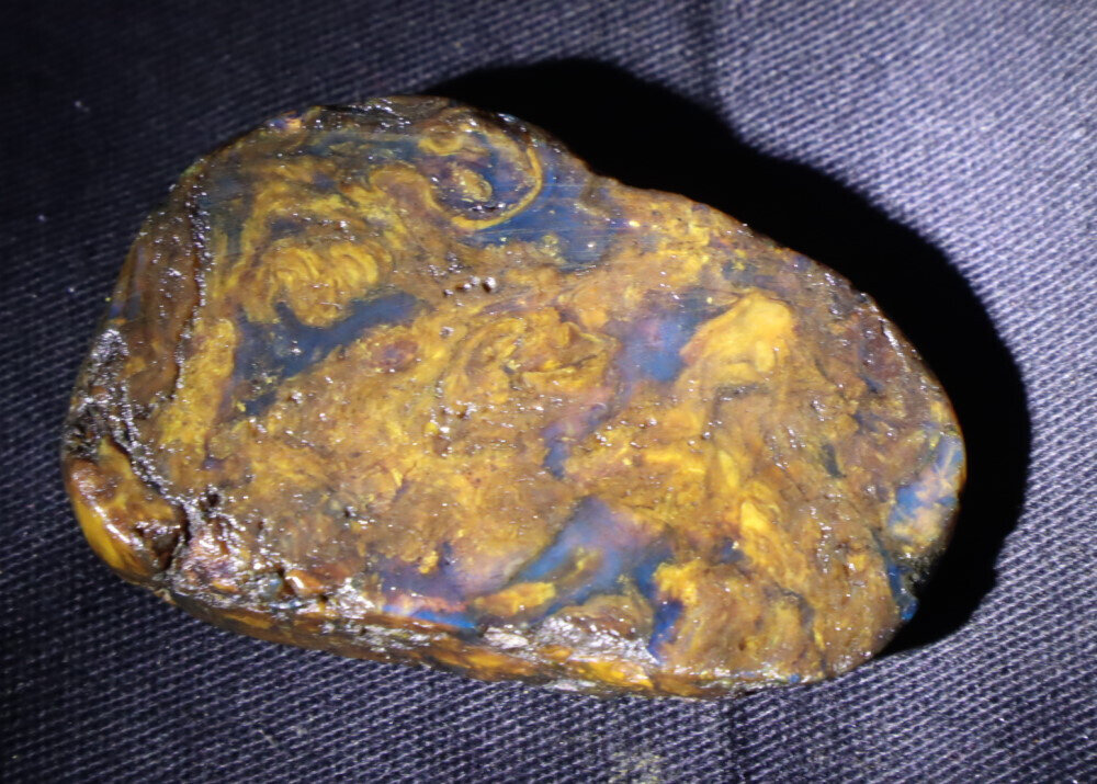 Natural Translucent Blue Butterscotch Amber Slab Slice Specimen 50mm 12grams – photo 6