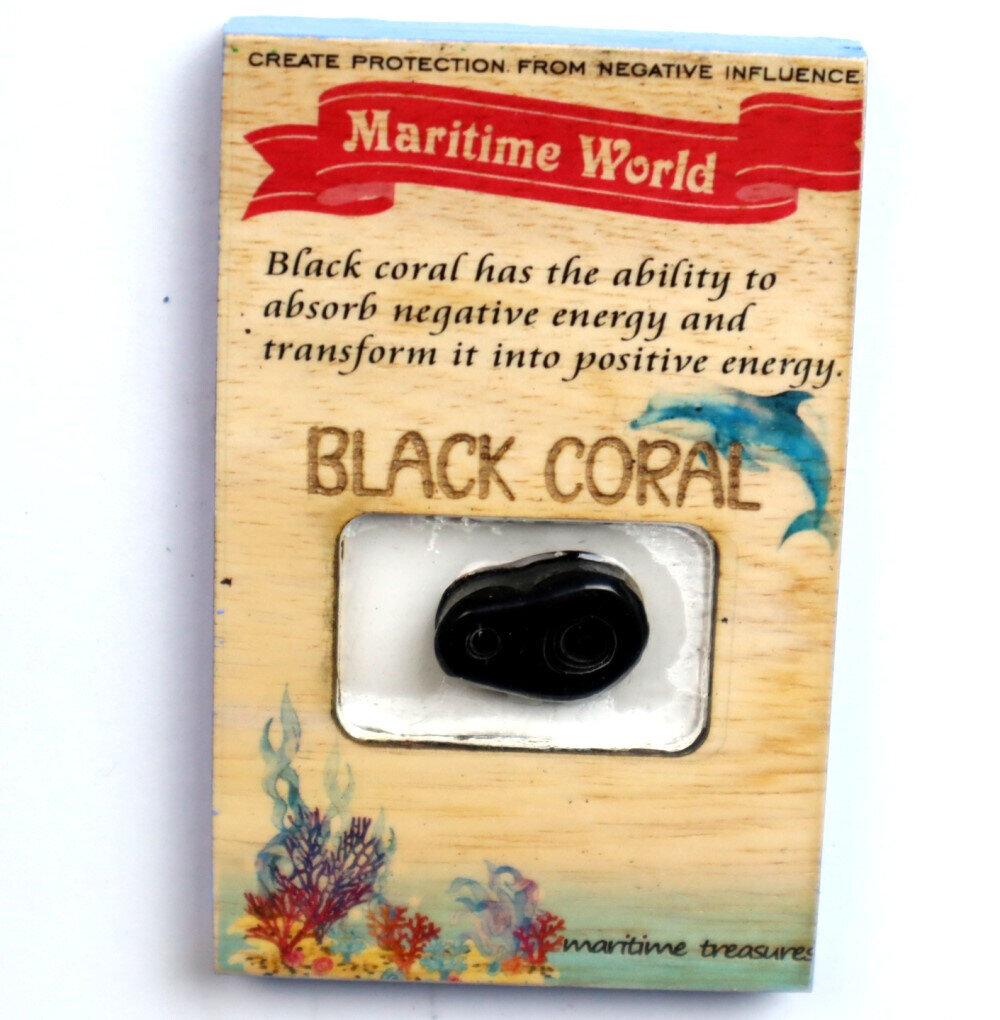Handmade Refrigerator Black Coral Cabochon on Ficus Benjamin Wood Base 3x2 inch – photo 3