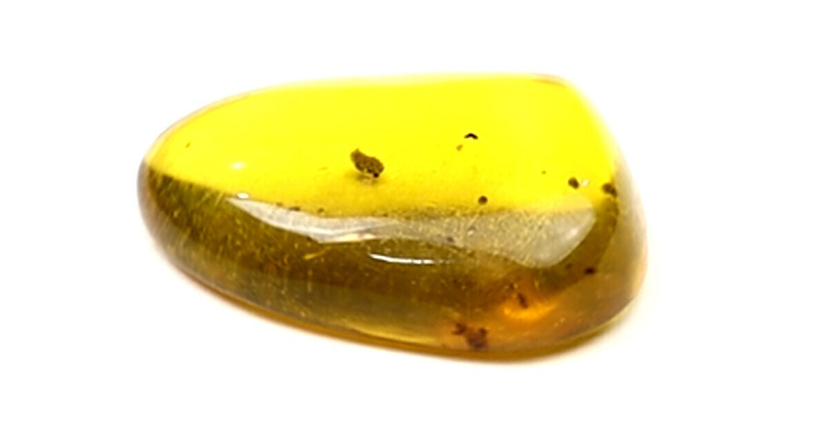 Splendid Natural Dominican Clear Yellow Amber Polished Stone Fossil Insect Bug – photo 9