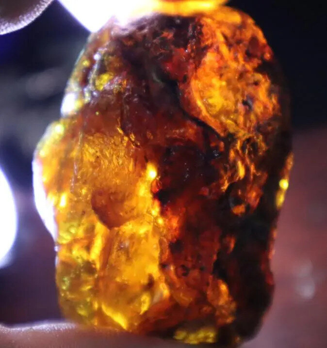 Beautiful Natural Dominican Clear Royal Blue Green Amber Rough Specimen 51mm 38g – photo 10