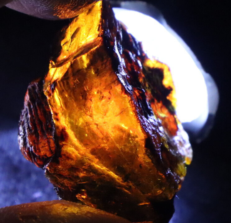 Charming Design Natural Dominican Clear Green Blue Amber Rough Specimen 42mm 16g – photo 10