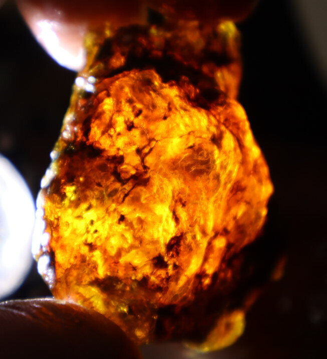 Exquisite Natural Dominican Clear Sky Blue Amber Rough Specimen 53mm 26g – photo 7