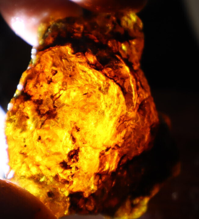 Exquisite Natural Dominican Clear Sky Blue Amber Rough Specimen 53mm 26g – photo 8