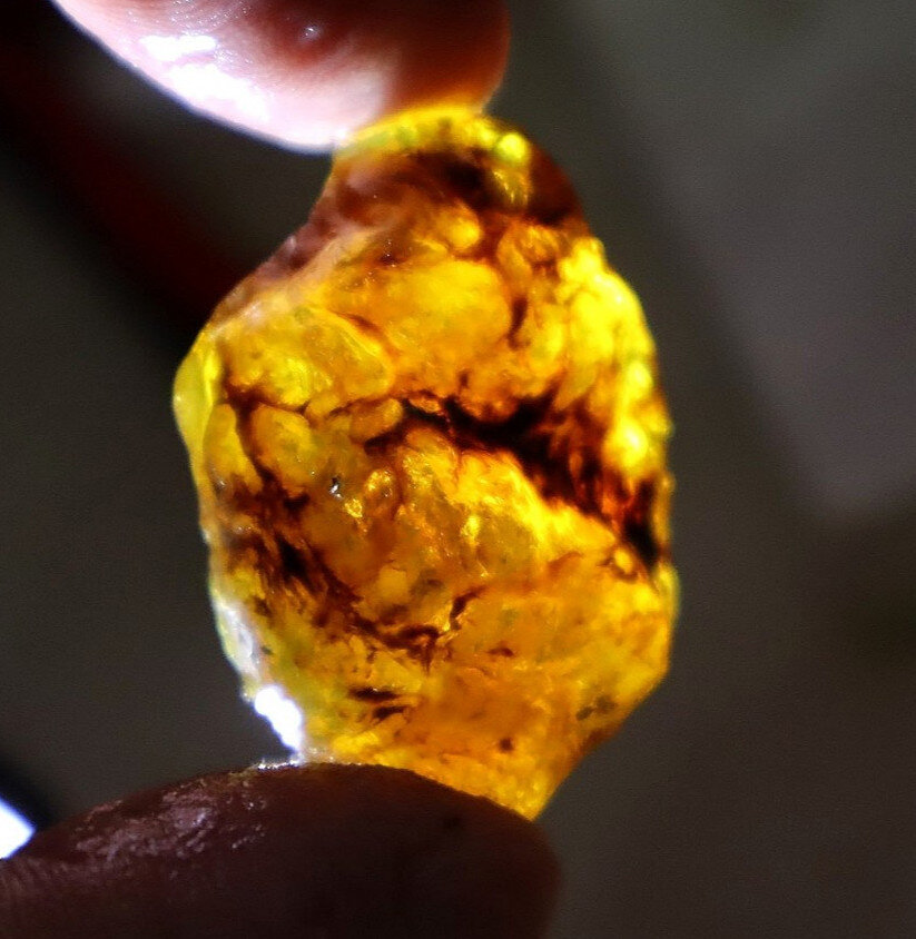 Fine Rare Sky Blue Dominican Amber Rough Specimen Chunk 39mm 10g – photo 9