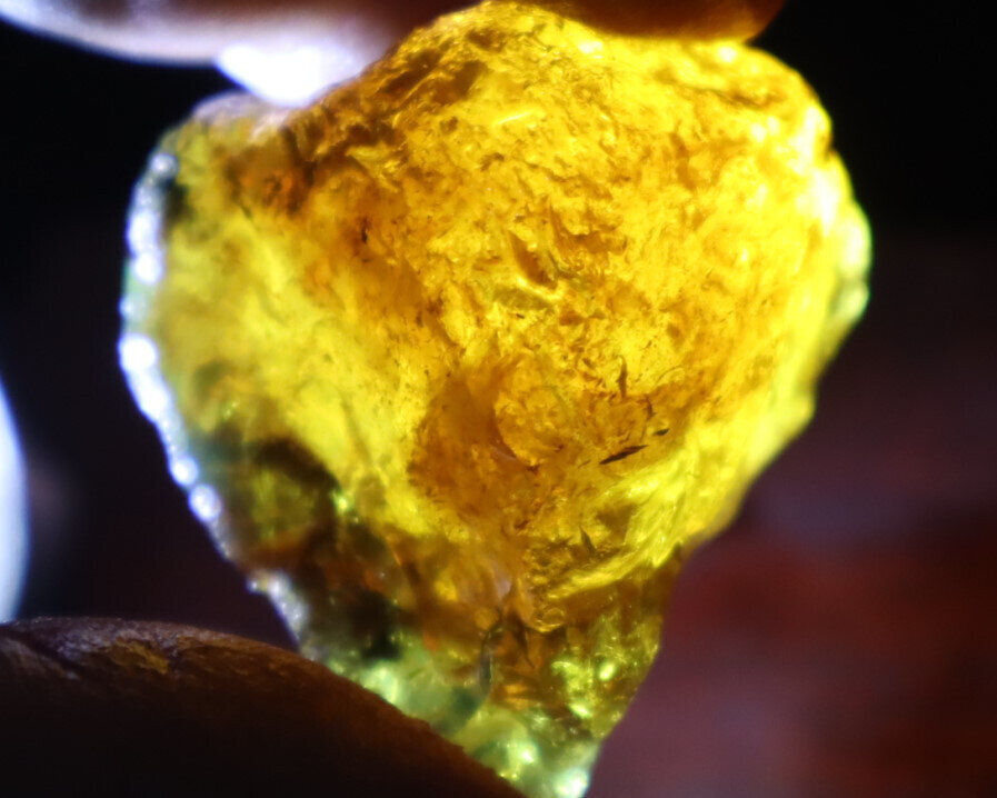 Exquisite Natural Dominican Clear Golden Blue Amber Rough Specimen 37mm 16.8g – photo 17
