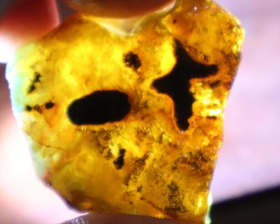 Finest Natural Dominican Clear Sky Blue Amber Rough Specimen 32mm 7.5g – photo 8
