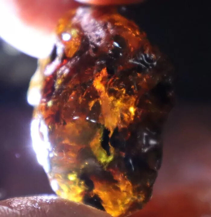 Excellent Natural Dominican Clear Sky Blue Amber Rough Specimen 41mm 15.5g – photo 6