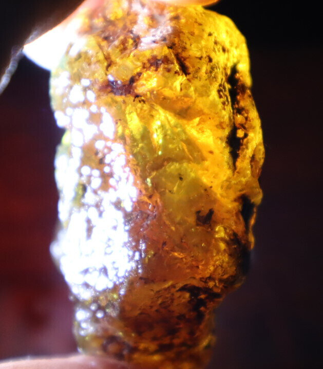 Finest Dominican Crystal Clear Light Blue Yellow Amber Rough Specimen 65mm 38.6g – photo 12